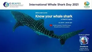 online Crash Course- Know your Whale Shark- Day 2