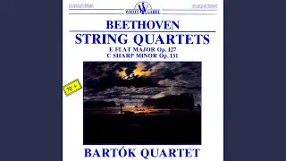 String Quartet No. 14 in C Sharp Minor Op. 131: V. Presto