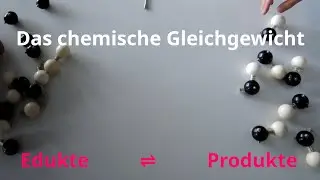 Modellvorstellung: Der Gleichgewichtszustand im chemischen Gleichgewicht (vergl. Apfelkrieg)