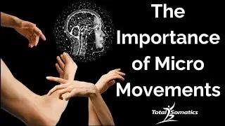 The Importance of Micro Movements