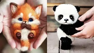 Cute Baby Animals Videos Compilation | Cute Moments 2023 [Funny Pets]