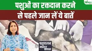 Animal Blood Bank:  पशुओं का रक्तदान करना क्यों हैं जरूरी और किस पशु में कितने ब्लड ग्रुप होते हैं