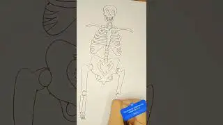 #smile skeleton #short #anatomy of skeleton system #Don't miss the  end...