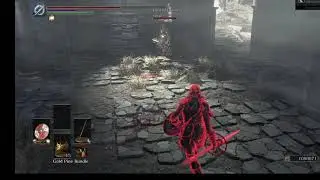 Dark Souls 3 Host disconnected.... MY FAULT