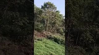 Nature beauty is always good 👍👍