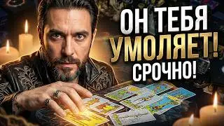 ❗️Он Умоляет Тебя Это Послушать ЭТО Срочно! &hearts;️ Таро Расклад с Алехандро