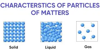 CHARACTERISTICS OF PARTICLES OF MATTER|CONTINUOUSLY MOVE|ATTRACTION FORCE|SPACE BETWEEN THEM