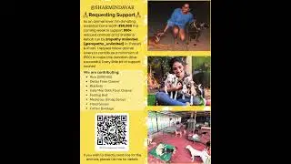 800+ Rescued Animals Need Us | Join the Donation Drive #viral