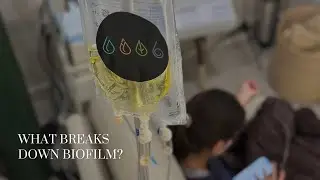 What Breaks Down Biofilm?