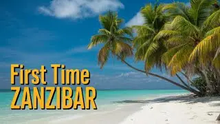 First Time in Zanzibar 🇹🇿 | What No One Tells You!