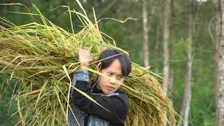 Single Man: Social Isolation and a Day in the Village Helping Grandparents Harvest
