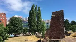 Lombardy poplar (Populus nigra 'Italica') - tree & old Exeter ruins - July 2018