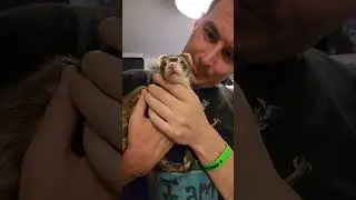 Bedtime Bonding