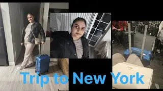 Trip to New York #travel #newyork #dailyvlog @ShubhneetVlogs 
