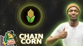 Chaincorn - public sale in a few hours! Join us soon!