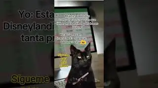 Disneylandia? #humor #viral #memes #funil #comedia #tiktok #recomendado #viralshorts #gracioso #ppp