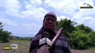 Les femmes rurales de Benkadi : courage, travail et espoir à Faraba !