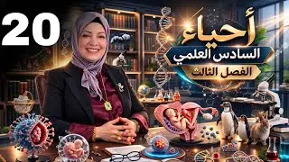 المحاضرة 20 الدورة المبيضية 