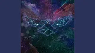 Into Another Dimension