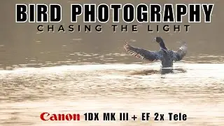 Bird Photography off grid | Searching for the Common Loon | Canon 1DX MK III & EF300mm f2.8 L IS