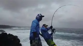 SPINNING HORSE-EYE JACK - INSHORE EXPERIENCE FISHING CAPE VERDE SAL ISLAND