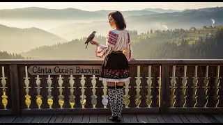 Cântă Cucu-n Bucovina – Folclor Românesc Remix 2025 🎵
