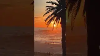 A dreamy sunset in South Africa. #sunsetview #oceanview #oceansunsets #southafrica #capetown #sunset
