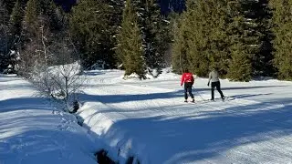 Introduction to cross-country skiing