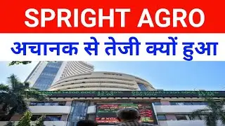 Spright Agro Share Latest News 🔴 Spright Agro Latest News 🔴 Spright Agro|