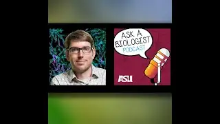 The Big Leap: cellular evolution