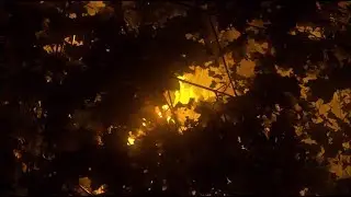 Una vida romántica