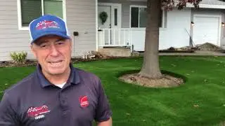 Waterless Lawn