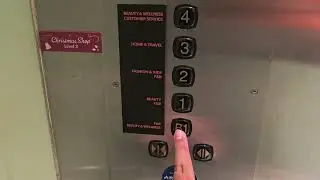 [Soon to be replaced] KONE M-Series Traction Lift :: TANGS Department Store @ Tang Plaza.