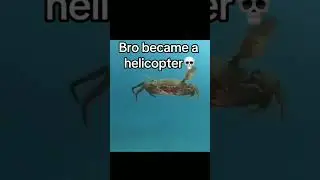 #cheats #game #mir4 #gaming #mir4indo #mobilelegend #mir4tagalog #fortnite #trending #viral