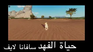سافانا لايف حياة الفهد 🐆💯