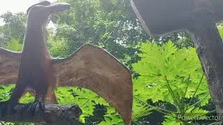 # HOW NaTUre Observation and know how  Tree presentation in the Mountain.