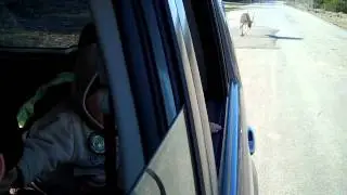 VID00262
