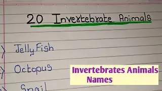 Invertebrates Animals|| 20 Invertebrates Animals Names in english