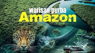 Kenapa Amazon Menciptakan Predator Monster Penjaga Keseimbangan Bumi?