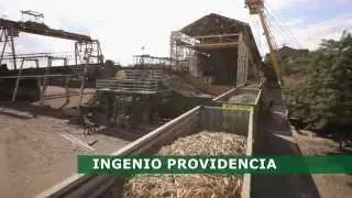 Un Equipo a tu Servicio - Ingenio Providencia