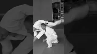 Shomenuchi kokyunage 正面打ち自由技 #shorts #shortsfeed #training #kiyokan #aikidoforfun #jiyuwaza #aikido
