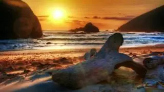 Miss Evy - Noria (Original Mix)