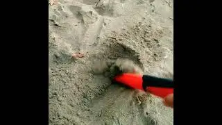 Silver - Metal Detecting \  metal detector \ treasure hunt