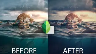 How to Color grade in Snapseed #9