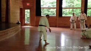Zenkutsu Dachi Transition Clarification | Shihan W Dexter Shim, 8th Dan IKD