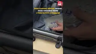 Delhi Customs officials recover weed concealed inside a false bottom of baggage