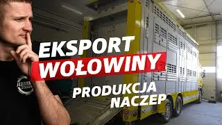 Od hodowli przez produkcję naczep aż po eksport - Polski hodowca o transporcie wołowiny na Bałkany