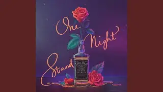 One Night Stand
