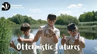 Ottermistic Futures