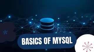 Учебник по SQL для начинающих | Изучите SQL с нуля